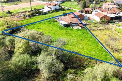 Villa i Anadia, Aveiro, Anadia - € 98.000 | Ref: ZMPT588016 - foto 9