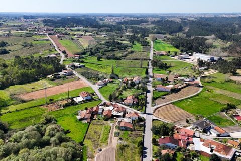Villa i Anadia, Aveiro, Anadia - € 98.000 | Ref: ZMPT588016 - foto 25