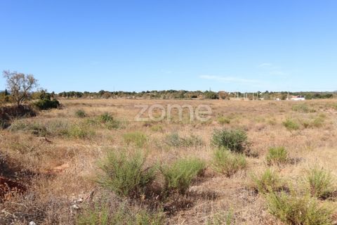Helårsgrund i Silves, Faro, Silves - € 410.000 | Ref: ZMPT581769 - foto 8