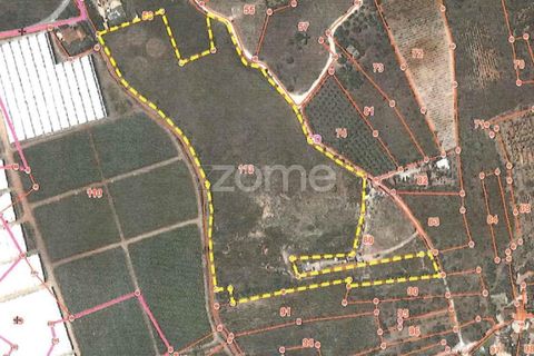 Helårsgrund i Silves, Faro, Silves - € 410.000 | Ref: ZMPT581769 - foto 12