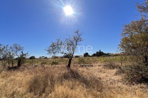 Helårsgrund i Silves, Faro, Silves - € 410.000 | Ref: ZMPT581769 - foto 14