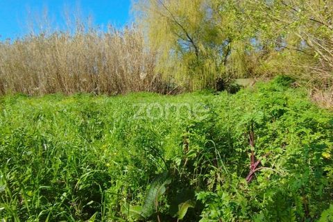 Tomt i Monte Real, Leiria, Monte Real - € 13 500 | Ref: ZMPT576062 - foto 6