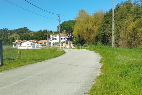Tomt i Monte Real, Leiria, Monte Real - € 13 500 | Ref: ZMPT576062 - foto 10