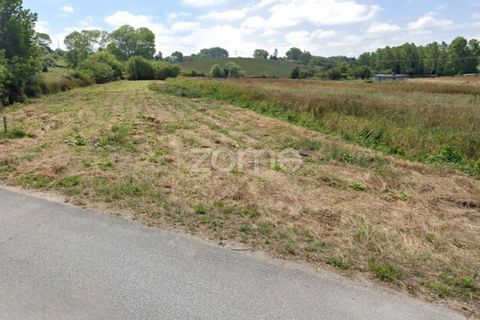 Tomt i Monte Real, Leiria, Monte Real - € 13 500 | Ref: ZMPT576062 - foto 11