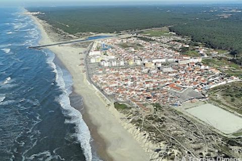 Tomt i Monte Real, Leiria, Monte Real - € 13 500 | Ref: ZMPT576062 - foto 16