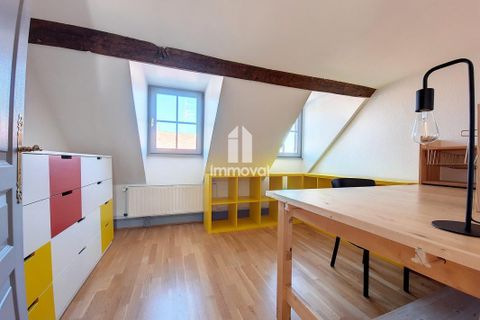 Duplex i Strasbourg, Bas-Rhin, Strasbourg - € 499.800 | Ref: T66666-IMMOVAL - foto 5
