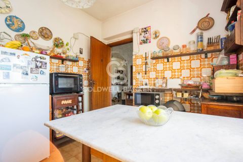 Villa a Tarquinia, Viterbo, Tarquinia - € 198.000 | Ref: CBI018-703-43841 - foto 12