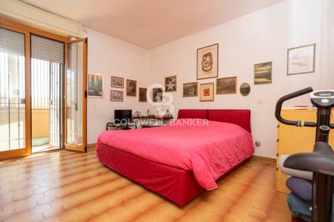 Villa a Tarquinia, Viterbo, Tarquinia - € 198.000 | Ref: CBI018-703-43841 - foto 20