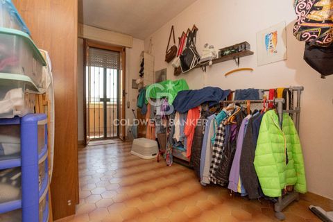 Villa a Tarquinia, Viterbo, Tarquinia - € 198.000 | Ref: CBI018-703-43841 - foto 26