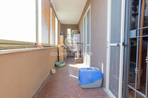 Villa a Tarquinia, Viterbo, Tarquinia - € 198.000 | Ref: CBI018-703-43841 - foto 27