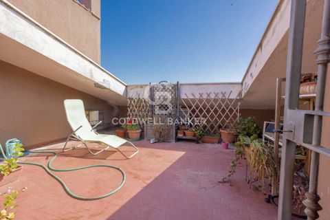 Villa a Tarquinia, Viterbo, Tarquinia - € 198.000 | Ref: CBI018-703-43841 - foto 37