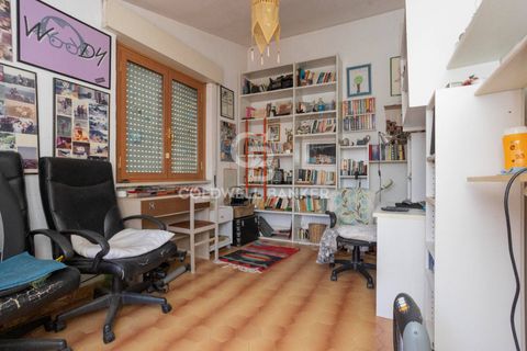 Villa a Tarquinia, Viterbo, Tarquinia - € 198.000 | Ref: CBI018-703-43841 - foto 42