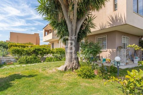 Villa a Tarquinia, Viterbo, Tarquinia - € 198.000 | Ref: CBI018-703-43841 - foto 45