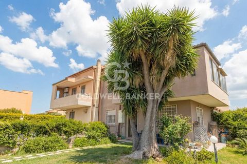 Villa a Tarquinia, Viterbo, Tarquinia - € 198.000 | Ref: CBI018-703-43841 - foto 46