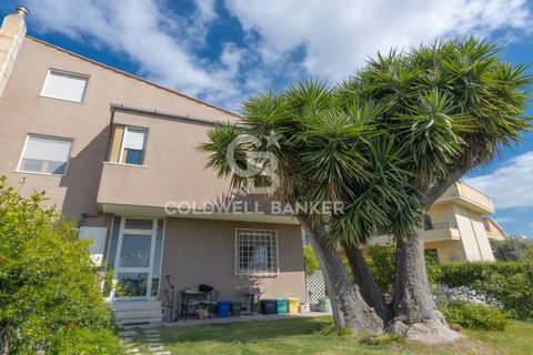 Villa a Tarquinia, Viterbo, Tarquinia - € 198.000 | Ref: CBI018-703-43841 - foto 49