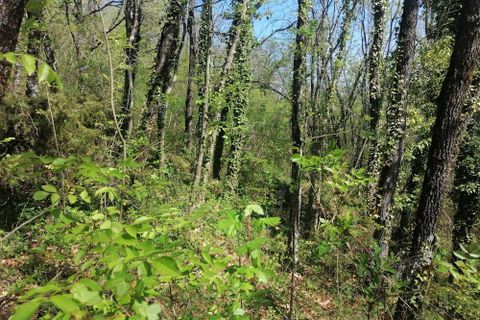 Landejendom i Sassoferrato, Ancona, Sassoferrato - € 230.000 | Ref: CR327 - foto 14