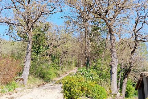 Landejendom i Sassoferrato, Ancona, Sassoferrato - € 230.000 | Ref: CR327 - foto 15