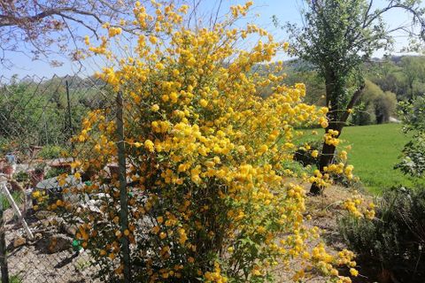 Landejendom i Sassoferrato, Ancona, Sassoferrato - € 230.000 | Ref: CR327 - foto 19