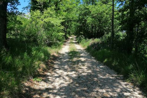 Landejendom i Sassoferrato, Ancona, Sassoferrato - € 230.000 | Ref: CR327 - foto 11