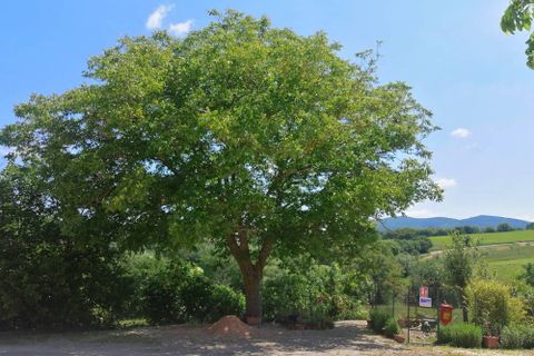 Landejendom i Sassoferrato, Ancona, Sassoferrato - € 230.000 | Ref: CR327 - foto 13
