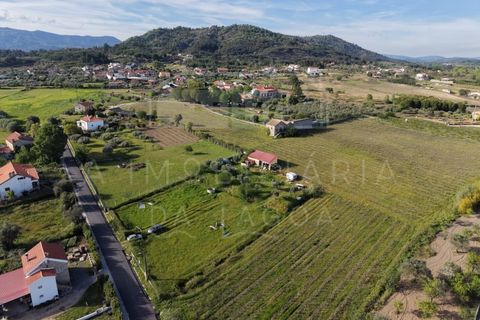 Farm i Caria, Castelo Branco, Caria - € 45.000 | Ref: FIN_575 - foto 1