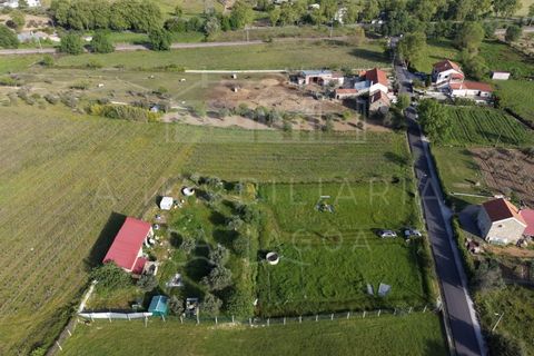 Farm i Caria, Castelo Branco, Caria - € 45.000 | Ref: FIN_575 - foto 2