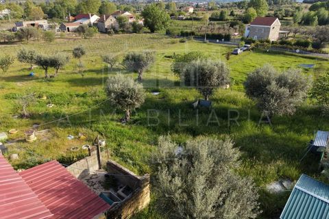 Farm i Caria, Castelo Branco, Caria - € 45.000 | Ref: FIN_575 - foto 3
