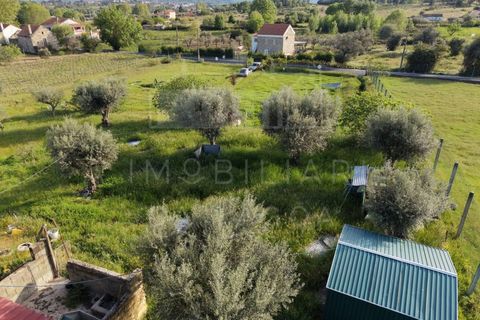 Farm i Caria, Castelo Branco, Caria - € 45.000 | Ref: FIN_575 - foto 4