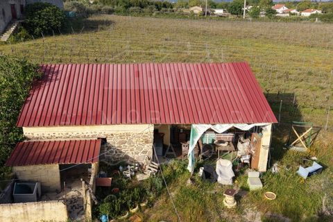 Farm i Caria, Castelo Branco, Caria - € 45.000 | Ref: FIN_575 - foto 5