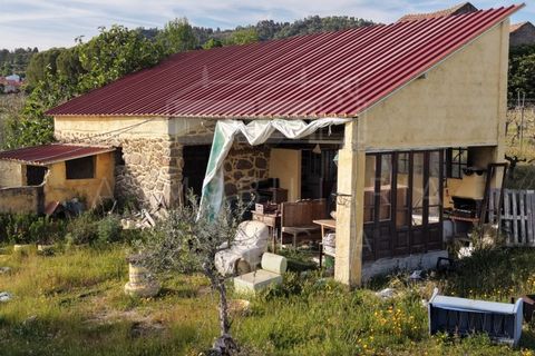 Farm i Caria, Castelo Branco, Caria - € 45.000 | Ref: FIN_575 - foto 6