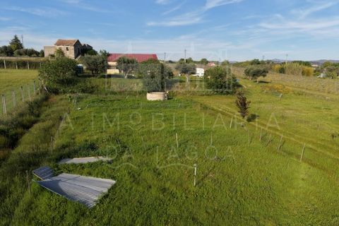 Farm i Caria, Castelo Branco, Caria - € 45.000 | Ref: FIN_575 - foto 7