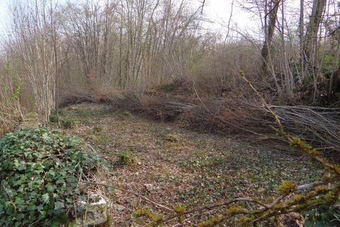 Villa a Rimaucourt, Haute-Marne, Rimaucourt - € 54.000 | Ref: 830030283359 - foto 12