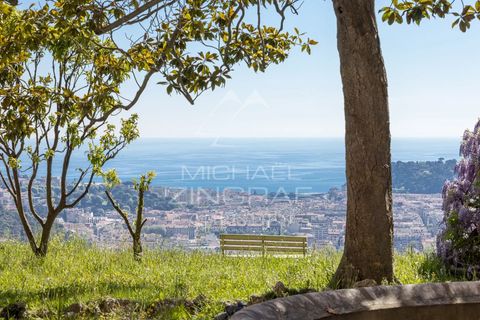 Landejendom i Nice, Alpes-Maritimes, Nice - € 11.750.000 | Ref: MZINC572 - foto 4