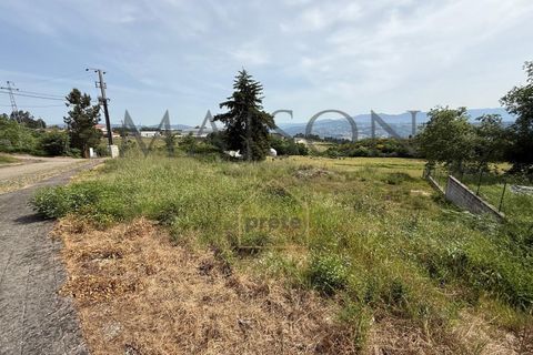 Helårsgrund i Amarante, Porto, Amarante - € 80.000 | Ref: MP-EF-T-391 - foto 5