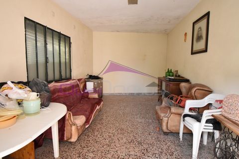 Villa a Alcanena, Santarem, Alcanena - € 320.000 | Ref: 2500 - foto 33
