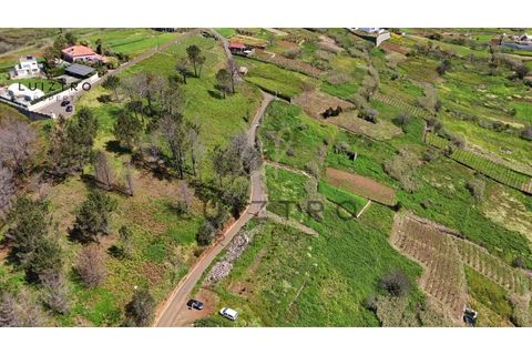 Helårsgrund i Calheta, Madeira, Calheta - € 75.000 | Ref: TER_55 (3) - foto 2