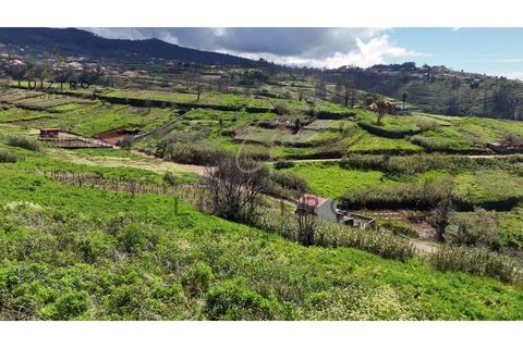 Helårsgrund i Calheta, Madeira, Calheta - € 75.000 | Ref: TER_55 (3) - foto 5
