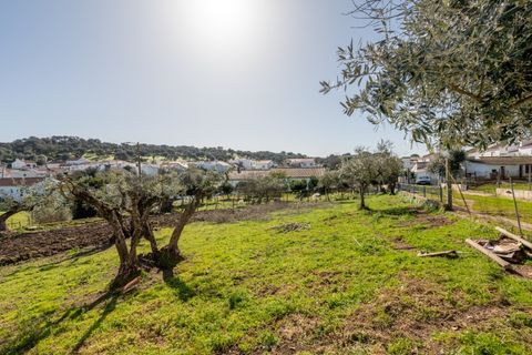 Villa a Arraiolos, Evora, Arraiolos - € 335.000 | Ref: 2678 - foto 36