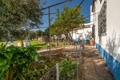 Villa a Arraiolos, Evora, Arraiolos - € 335.000 | Ref: 2678 - foto 37