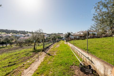 Villa a Arraiolos, Evora, Arraiolos - € 335.000 | Ref: 2678 - foto 39