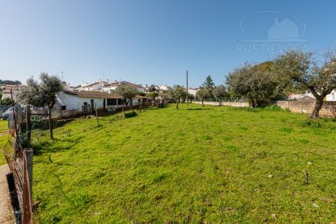 Villa a Arraiolos, Evora, Arraiolos - € 335.000 | Ref: 2678 - foto 43