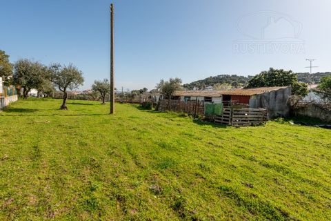 Villa a Arraiolos, Evora, Arraiolos - € 335.000 | Ref: 2678 - foto 47