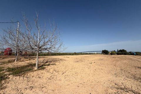 Landsbyhus i Torre Pacheco, Murcia, Torre Pacheco - € 680.000 | Ref: TP01 - foto 3
