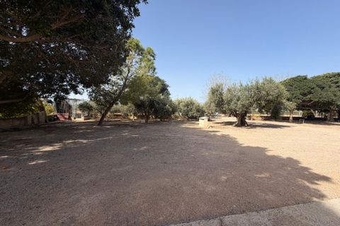 Landsbyhus i Torre Pacheco, Murcia, Torre Pacheco - € 680.000 | Ref: TP01 - foto 4