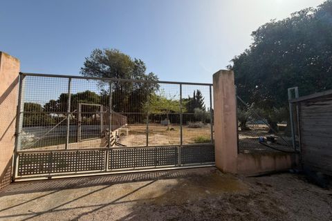 Landsbyhus i Torre Pacheco, Murcia, Torre Pacheco - € 680.000 | Ref: TP01 - foto 15