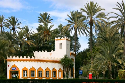 Erhvervsejendom i Elche, Alicante, Elche - € 6.000.000 | Ref: N2636 - foto 6