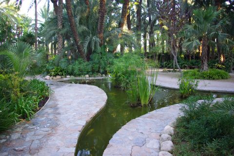 Erhvervsejendom i Elche, Alicante, Elche - € 6.000.000 | Ref: N2636 - foto 8