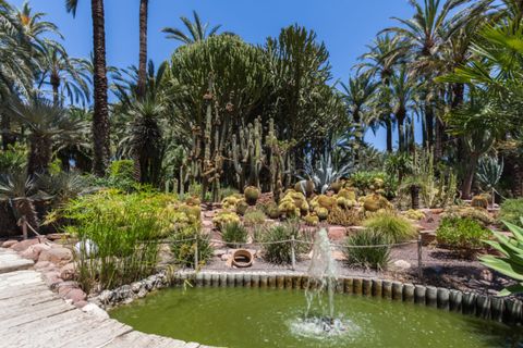 Erhvervsejendom i Elche, Alicante, Elche - € 6.000.000 | Ref: N2636 - foto 11
