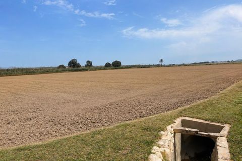 Helårsgrund i Dolores, Alicante, Dolores - € 330.000 | Ref: F136/3390 - foto 1