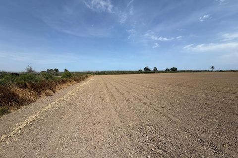 Terra a Dolores, Alicante, Dolores - € 115.000 | Ref: F137/3390 - foto 4